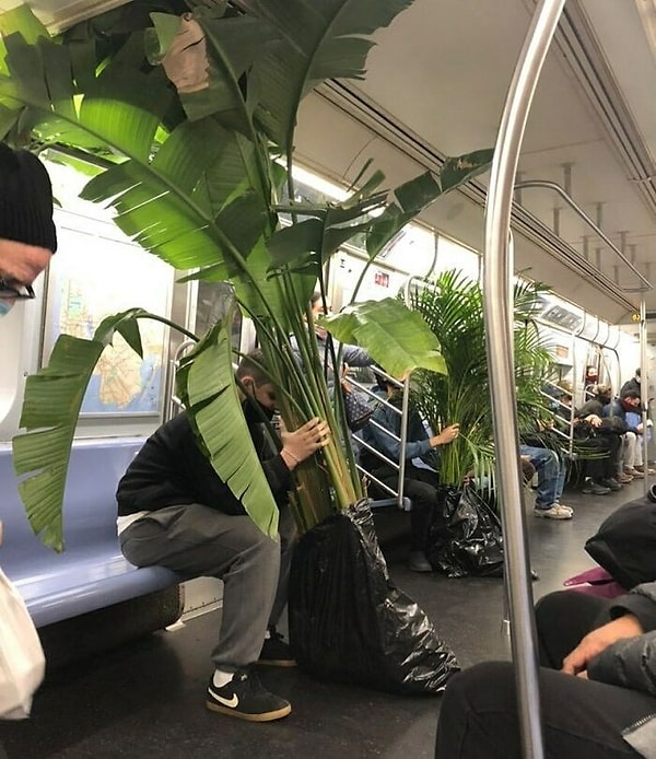 4. Не метро а целые джунгли