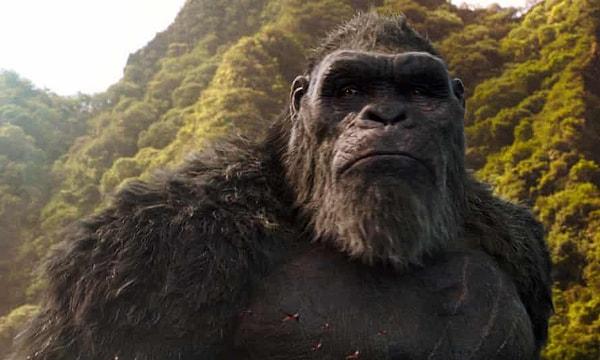 Bu filmde Kong’un hikayesine fazlasıyla yer verilmiş olması ve bir türlü Godzilla’nın sahnelerinin gelmemesi bir an bizlere ‘Acaba bu Kong’un filmi mi miydi’ diye hissettirmedi desek yalan olmaz.