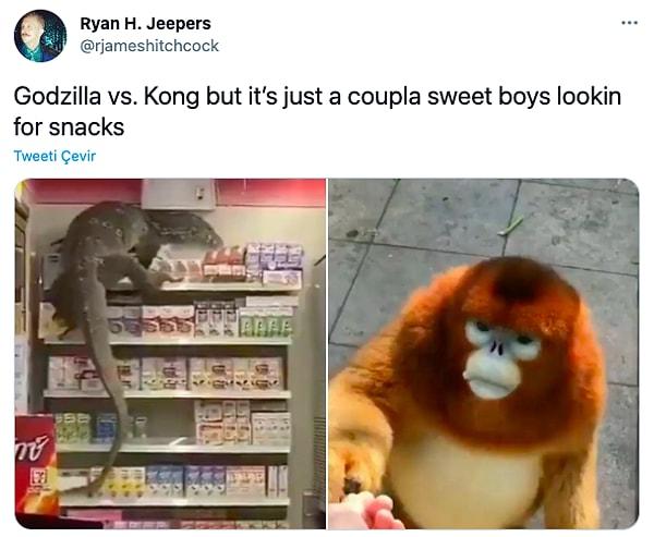 10. "Godzilla vs. Kong ama bu tatlı çocuklar sadece atıştıracak bir şey arıyor."