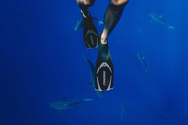 21. Oahu Adası kıyılarının derinliklerinde köpek balıklarıyla yüzmek ister misiniz?