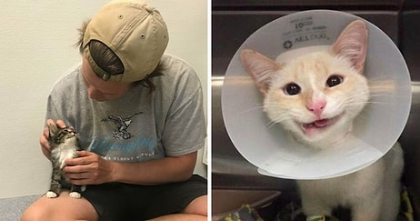 15 самых милых и позитивных фото с животными, которых только что спасли и приютили в их новый дом