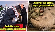 Okurken Aklınızı Başınızdan Alacak Birbirinden Şaşırtıcı 24 İlginç Bilgi