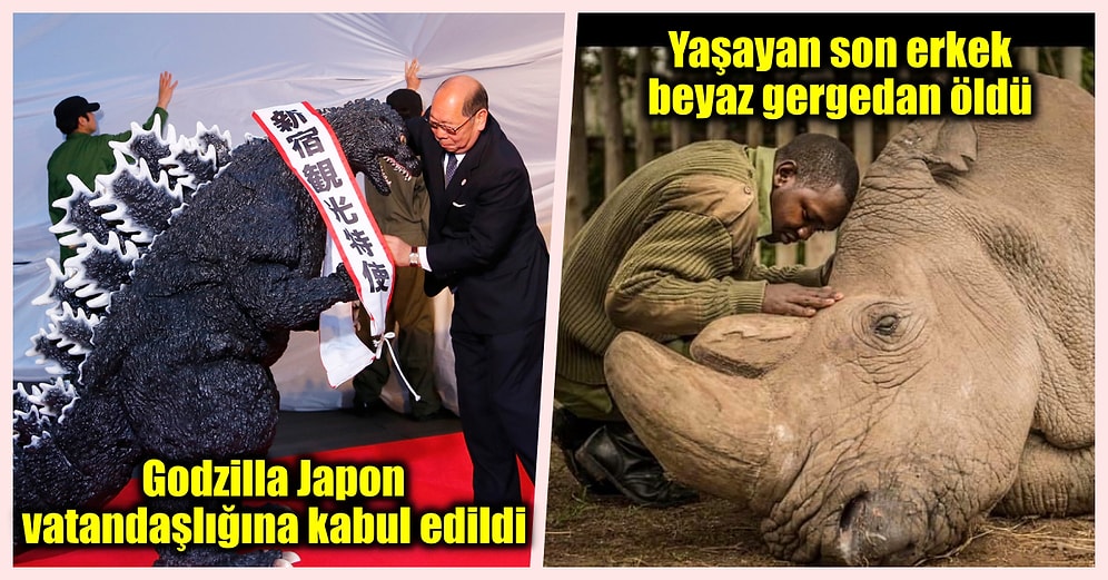 Okurken Aklınızı Başınızdan Alacak Birbirinden Şaşırtıcı 24 İlginç Bilgi