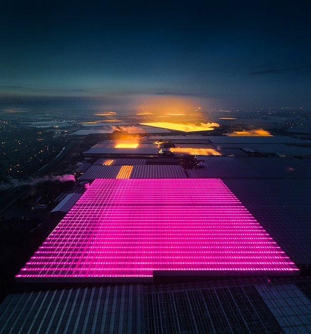 12. Mimari/Endüstriyel Kategorisi Birinciliği: "LED Sera" fotoğrafıyla Tom Hegen
