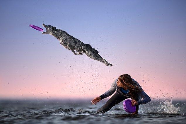 52. Özel/Evcil Hayvanlar Kategorisi Birinciliği: "Denizin Üstünde Uçmak" fotoğrafıyla Claudio Piccoli