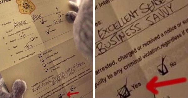 8. В «Зверополисе» (2016) Ник сначала ставит галку на «Да» в графе, был ли он ранее арестован, но затем зачёркивает отметку и исправляет на «Нет»