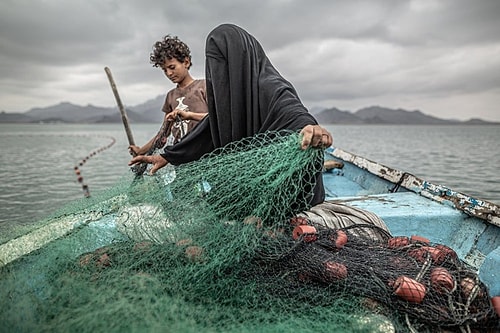 Yılın En İyi Basın Fotoğrafları Yarışmasında Kazananlar Belli Oldu