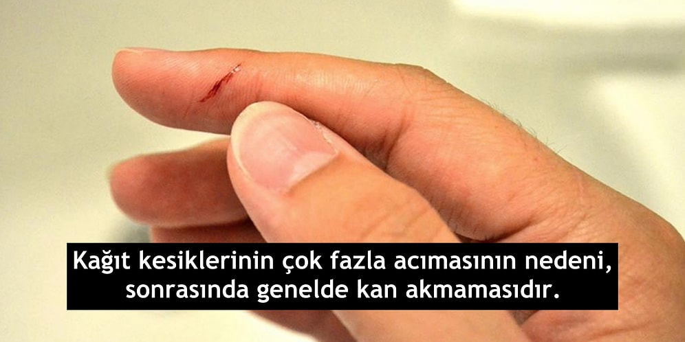 Vücudumuzda Dolaşan Kan Hakkında Muhtemelen Daha Önce Duymadığınız İlginç Bilgiler