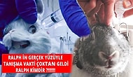 Bu Görüntüler Gerçek ve Rahatsız Edici: Son Günlerde Herkesin Paylaştığı Save Ralph Kısa Filminin Gerçek Yüzü