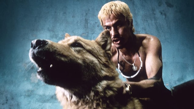 3. Amores Perros (2000)
