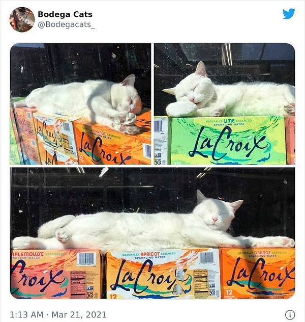 10. Работа не волк!