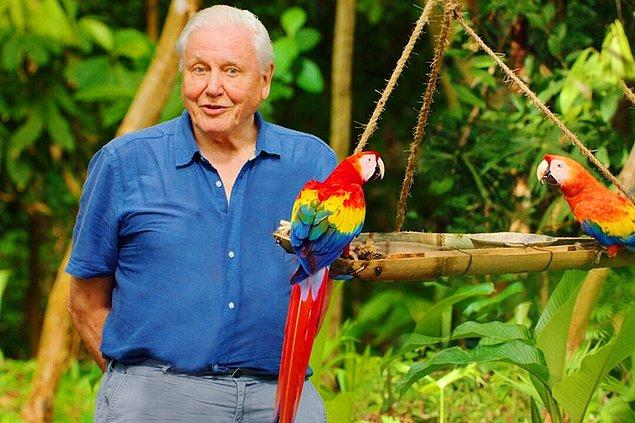5. David Attenborough ile Yaşamın Renkleri (2021)
