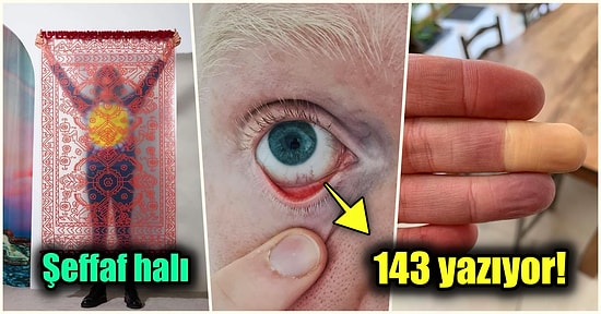Hep Aynı Şeyleri Görmekten Sıkılanları İlginçliğe Doyuracak Birbirinden Acayip 15 Yeni Görsel