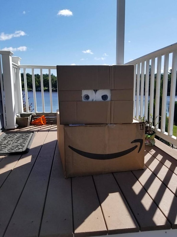 6. "Курьер из Амазона оставил на моей веранде счастливую посылку".