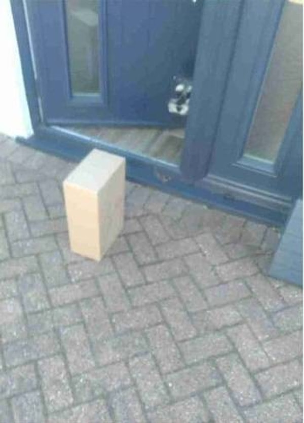 8. "Вижу, что моя собака встала сегодня пораньше, чтобы забрать нашу посылку".