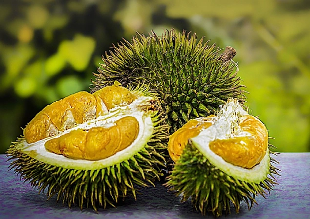 İçərisi son dərəcə şirin, xaricində təhlükəli olan Durian meyvəsini istehlak etmək qadağandır.