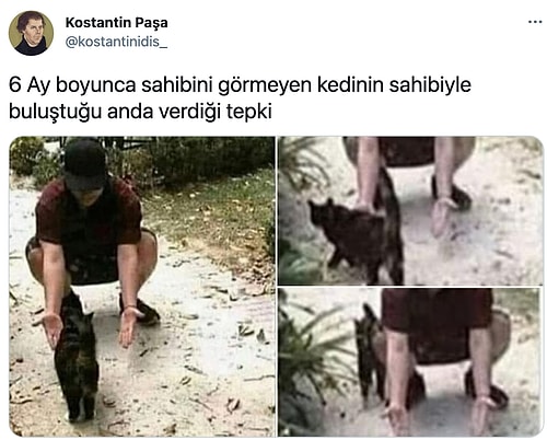 Her Ne Yapıyorsanız Bırakıp Okumanız Gereken Haftanın En Komik 21 Tweeti