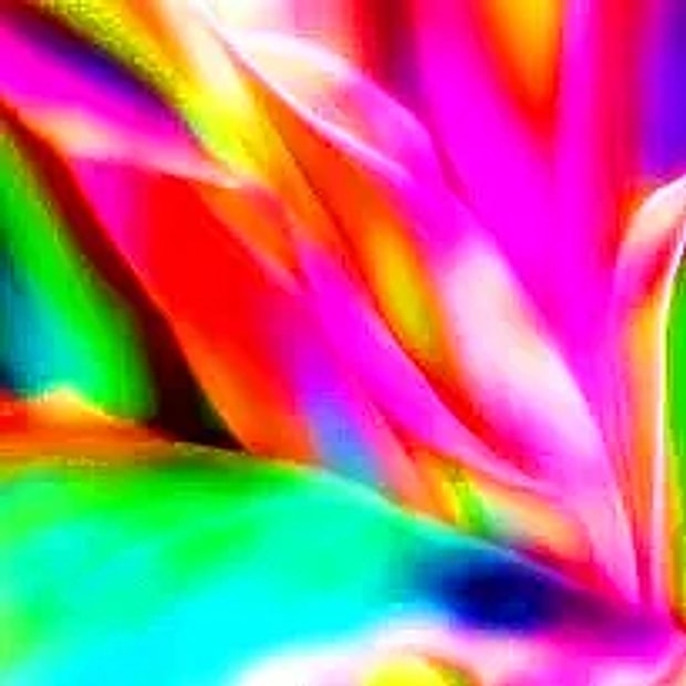 Neon / Canlı renkler