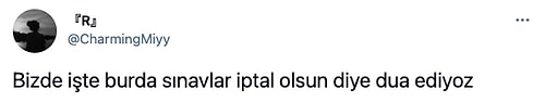 Milyarder Enişte Meedo'nun Şeyma Subaşı'na 'Rahat Etsin' Diye Miami'den Ev Almasına Gelen Komik Tepkiler