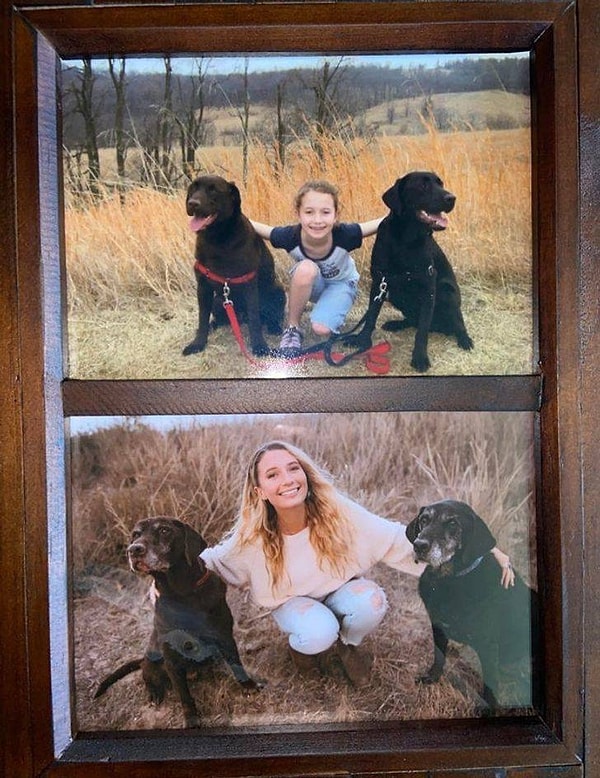 9. "Повторили фото с моими любимыми собаками, которым стукнуло 13 лет! :)"