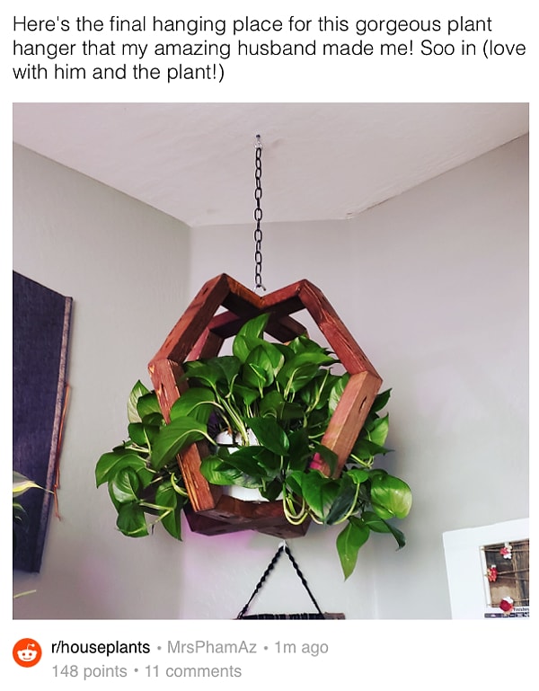 8. "Мой супруг сделал вот такое подвесное кашпо для моего цветка. Обожаю и цветок, и мужа!"