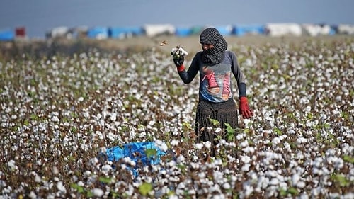 İçişleri Bakanlığı 'Tam Kapanma' Dönemine İlişkin Merak Edilen Soruları Yanıtladı