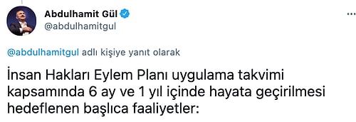 Abdülhamit Gül, İnsan Hakları Eylem Planı'nı Açıkladı: Hangi Hedefler Belirlendi?