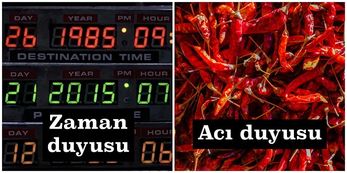 Basit Bir Canlıdan Fazlası: Algılarımızın 5 Duyuyla Sınırlı Olmadığını Ortaya Koyuyoruz