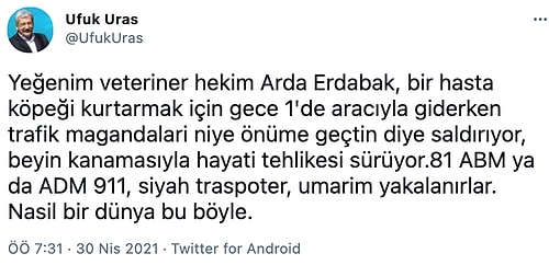 Hasta Köpeği Tedavi Etmeye Giden Veteriner, Trafik Magandalarının Saldırısına Uğradı