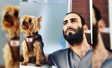 Hasta Köpeği Tedavi Etmeye Giden Veteriner, Trafik Magandalarının Saldırısına Uğradı