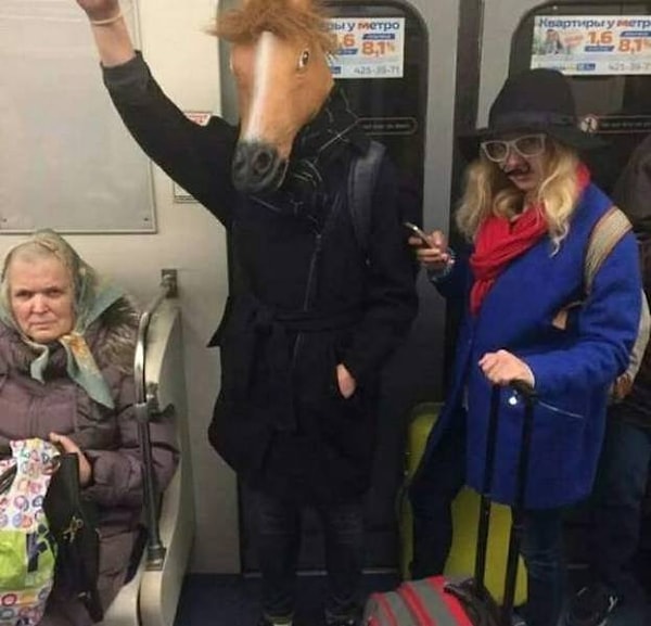 5. Коням тоже надо на работу ходить.