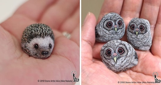 Художник вдыхает жизнь в обычные камни, превращая их в животных (15 новых фото)