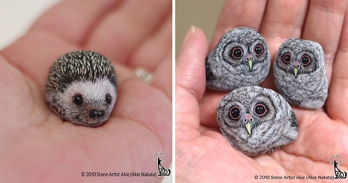 Художник вдыхает жизнь в обычные камни, превращая их в животных (15 новых фото)