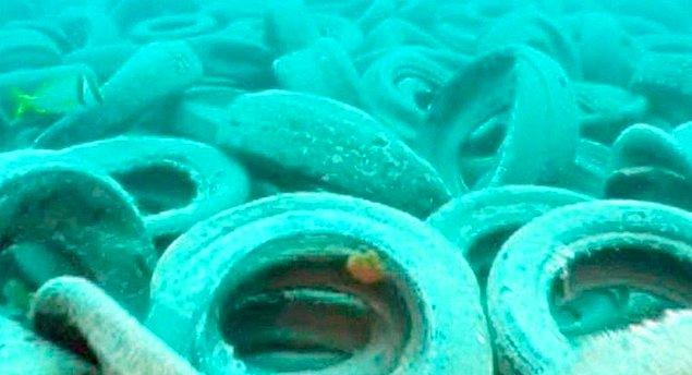13. 70'lerde Florida, Fort Lauderdale, 2 milyon kullanılmış lastiği okyanusa atarak kendi yapay mercan resifini yaratmaya çalıştı. Doğal bir faciaya dönüşen bu olay yüzünden dalgıçlar lastikleri teker teker çıkarmak zorunda kaldı.