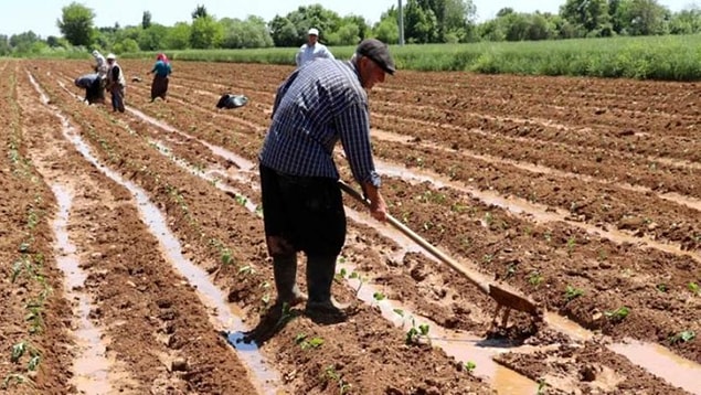 Çiftçi Belgesi Olan Yasaktan Muaf Mı?