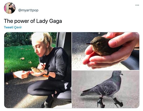 8. "Lady Gaga'nın gücü"