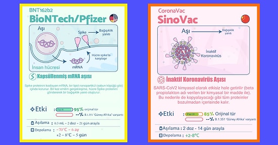 Herkesin Aklındaki O Soruyu Yanıtlıyoruz! Hangi Aşı Ne Kadar Güvenilir?