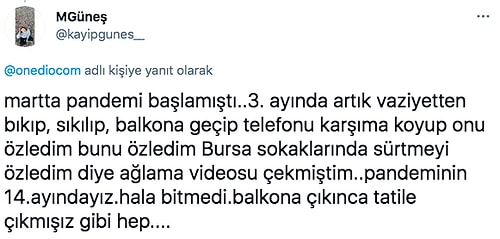 Sıkıntıdan Kafayı Yerken Yaptıkları Saçma ve Komik Davranışlarla Hepimizi Güldüren 18 Takipçi