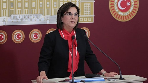 Prof. Gaye Usluer, CHP’den İstifa Etti