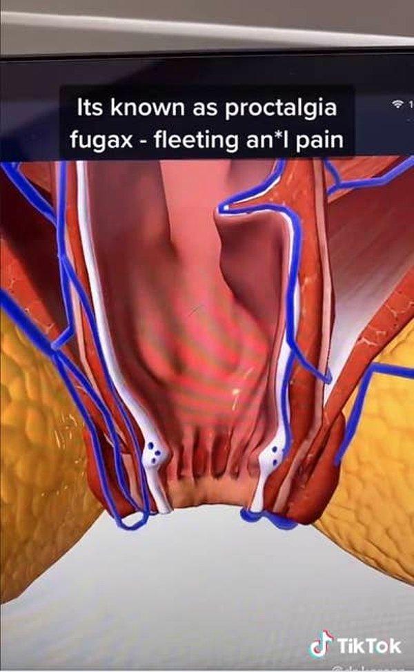 1.1 milyon izlenme alan videoda menstrüasyon sırasında vücudun içinde neler olup bittiğini ve proctalgia fugax'a neyin neden olduğunu detaylıca anlatıyor.
