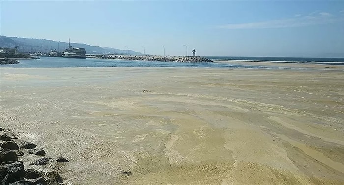 Marmara Denizi'nin Birçok Noktasına Yayılan 'Deniz Salyası' Mudanya Sahilini de Kapladı