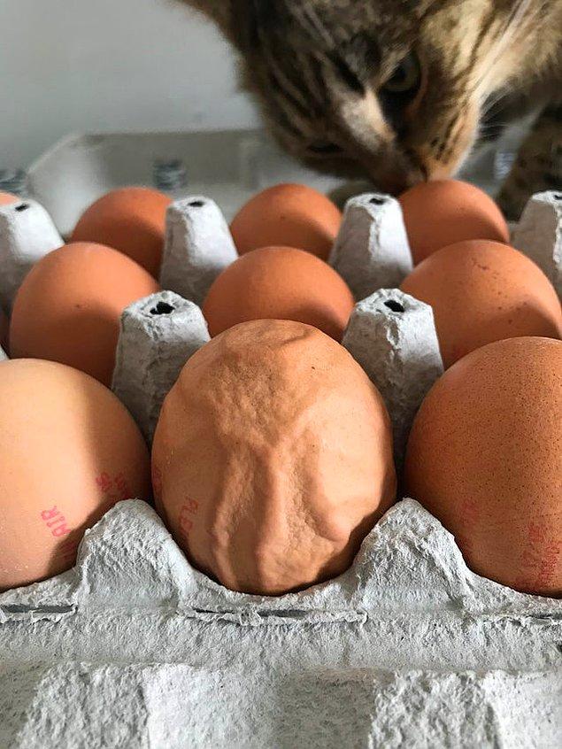 3. "Yumurta neden böyle olur bilen var mı?"