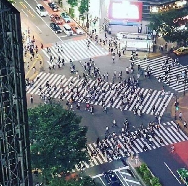 16. Japonya'da 300'den fazla yaya şeridi vardır.