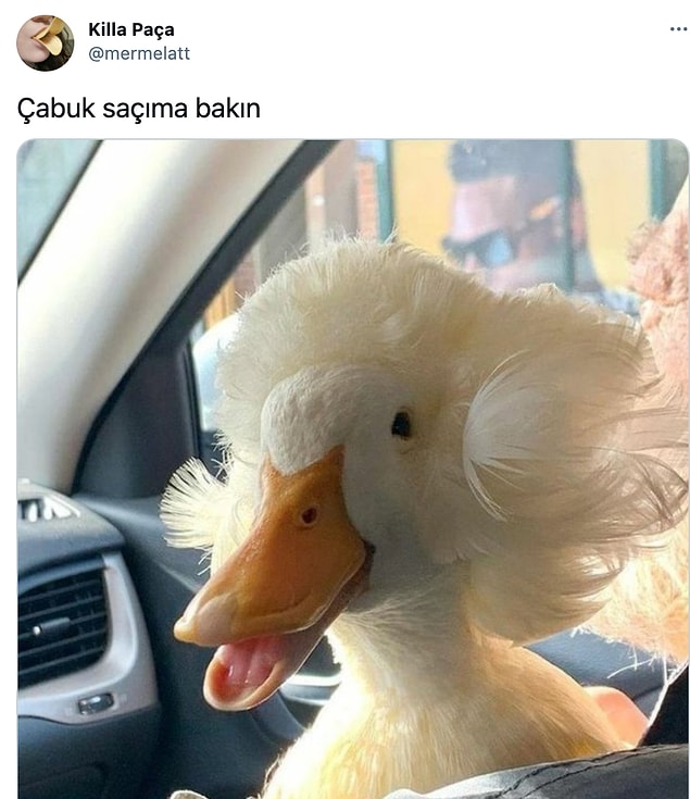 6.