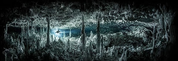 12. «Готическая палата»