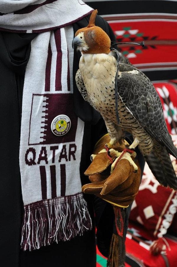 17. Pek çok Katarlı şahin beslemektedir ve bu oldukça yaygındır.