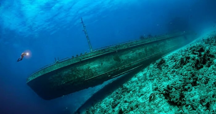 15 завораживающих снимков, победивших в конкурсе Подводной фотографии 2021