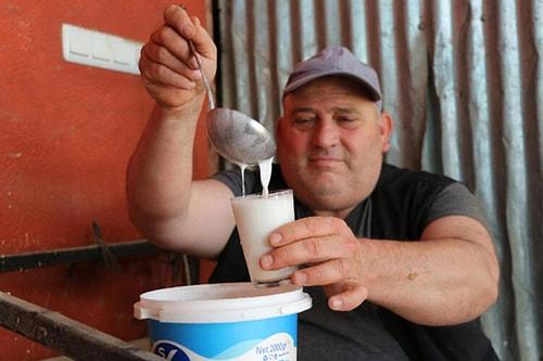 Korona Salgını Deve Sütü Patlamasına Neden Oldu: Talep Yüzde 150 Arttı
