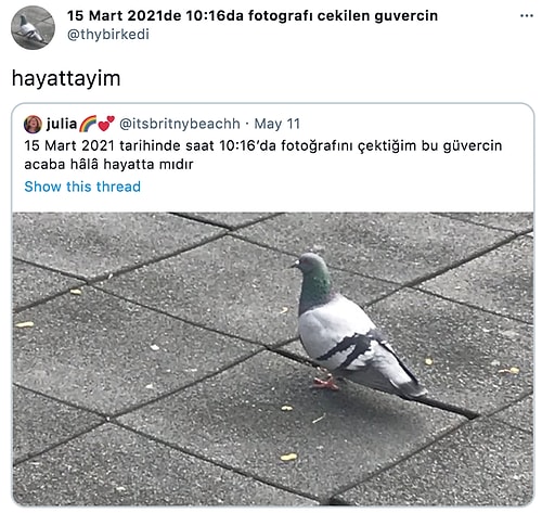 Kılıçdaroğlu'nun Patatesli Böreğinden Çalınan Karpuz Çocuk Heykeline Twitter'da Günün Viral Olan Paylaşımları