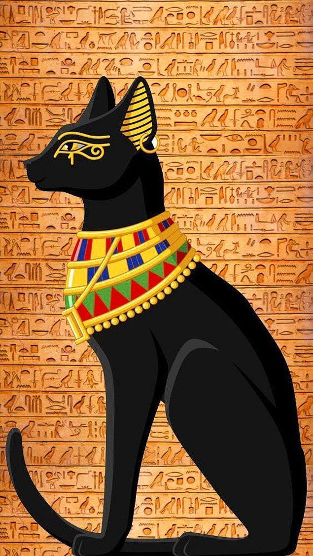 Antik Mısırlılar tarafından birbirinden farklı birçok sayıda kedi heykeli yapıldı.  Tarihçiler tarafından bu durum, kedilere yükledikleri farklı anlamlar olarak açıklanıyor.